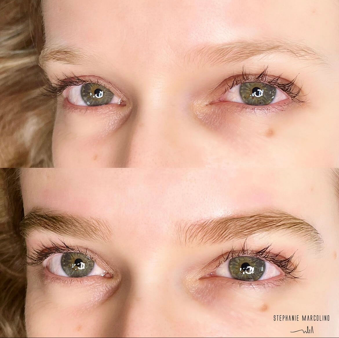 Stephanie Marcolino Clinic